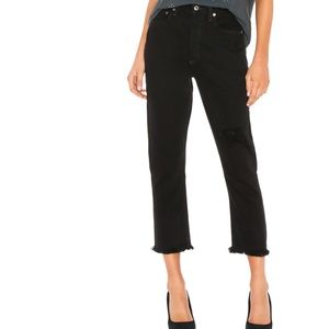 AGOLDE Riley High Rise Straight Crop Jean Frenzy